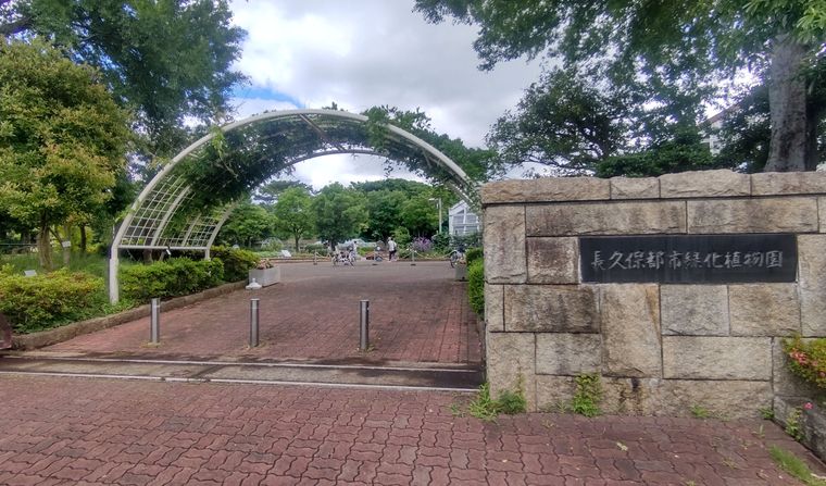長久保公園であじさいを捜す